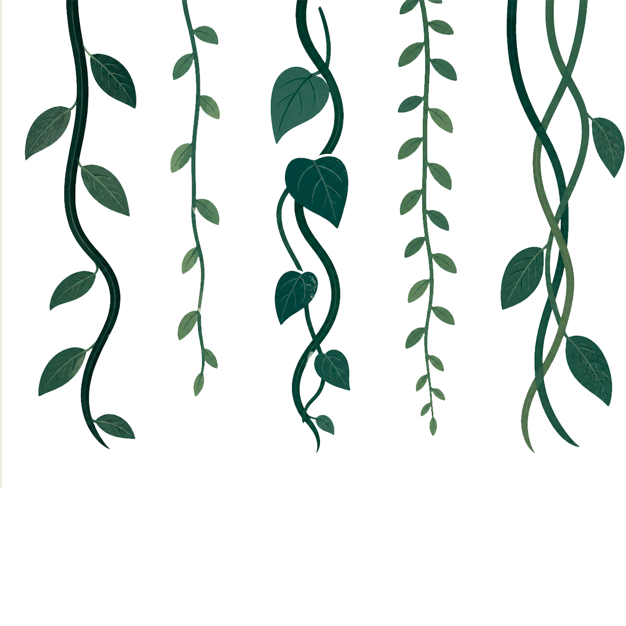 Lianas2